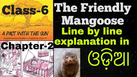 Class English Chapter The Friendly Mangoose Full Explanation In