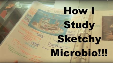 How To Study Sketchy Micro Effectively Youtube