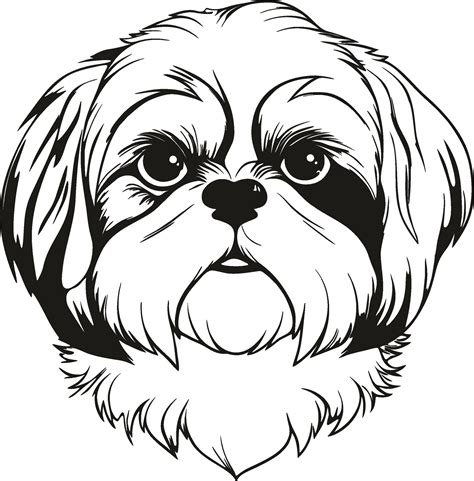 Shih Tzu Puppy Vector Art Icons And Graphics For Free Download