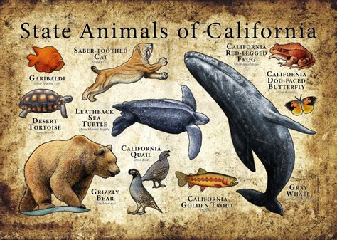 California State Animals Poster Print Etsy In 2021 Animal Posters