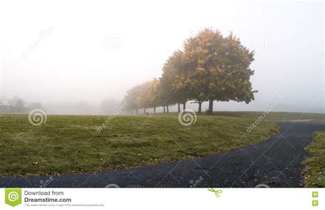 Heavy Dense Fog At A Park Stock Image Image Of Heavy 81884309