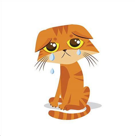 Drawing Of A Cat With Sad Face Stock Photos Pictures And Royalty Free