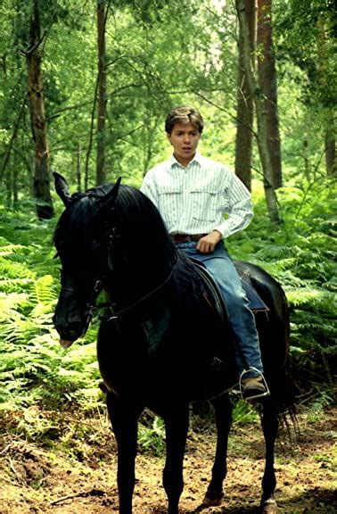 The New Adventures Of The Black Stallion 1990