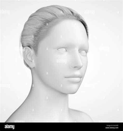 Human Head Illustration Stock Photo Alamy