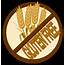 6 Things You Should Know Before Going Gluten Free  SunSignsOrg