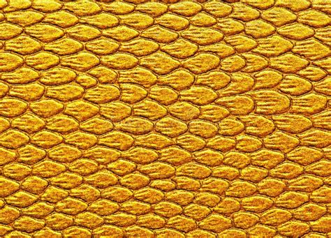 Snakeskin Texture Leather As Background Stock Photo Image Of