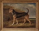 James Loder Of Bath (1784-1860), Portrait of a Terrier in a Landscape ...