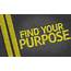 Find Your Purpose – Vision  Diligent Assistant