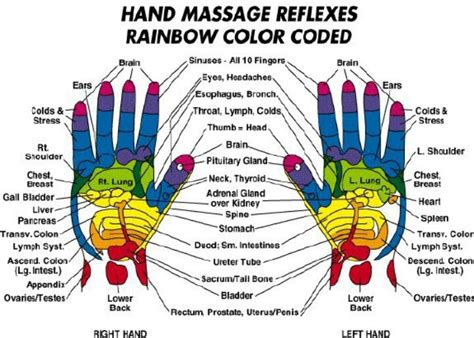 Hand Massage Reflexes Reflexology Hand Reflexology Reflexology Hand Chart