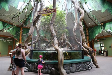 Omaha Henry Doorly Zoo And Aquarium Lost In The Usa