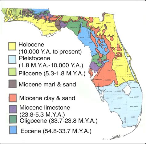 Florida Bedrock Geology Map World Map Wall Sticker