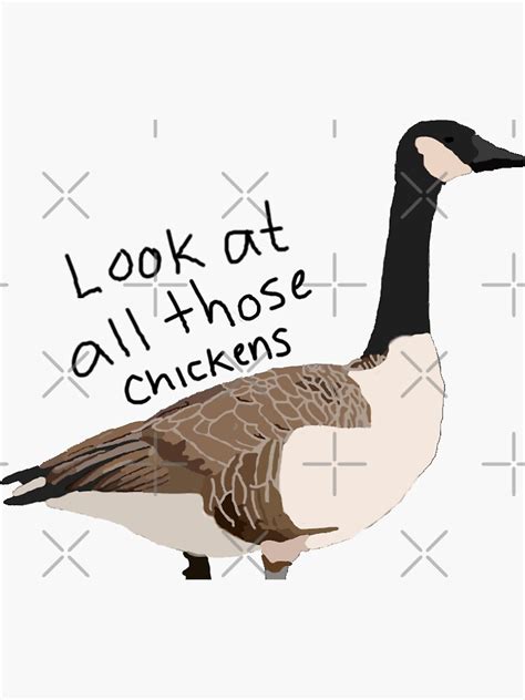 Look At All Those Chickens Sticker By Jayecee Redbubble