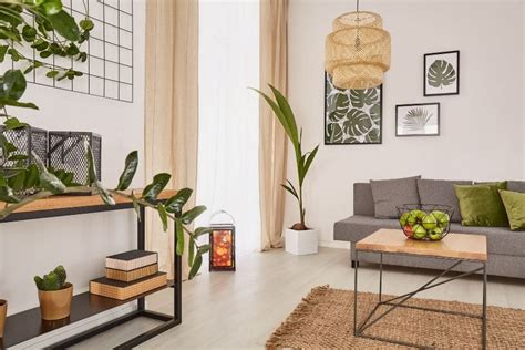 Plant Interior Design Home Design Ideas