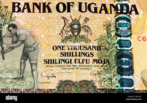 1000 Ugandan Shillings Bank Note Ugandan Shilling Is The National Currency Of Uganda Stock