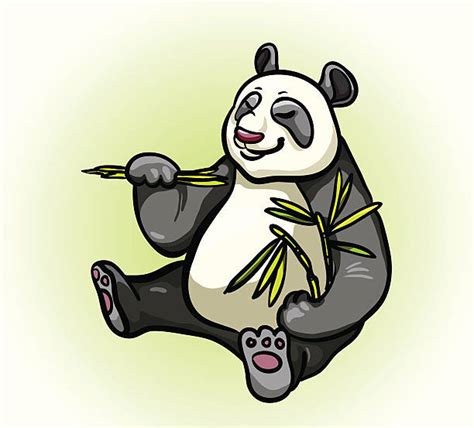 Cartoon Of A Panda Bear Eating Bamboo Illustrations Royalty Free