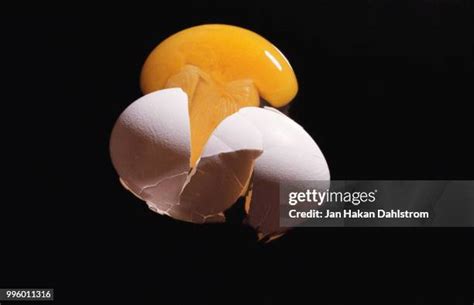 370 Crushed Egg Stock Photos High Res Pictures And Images Getty Images