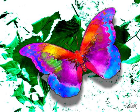 Rainbow Butterflies By Diluculi On Deviantart