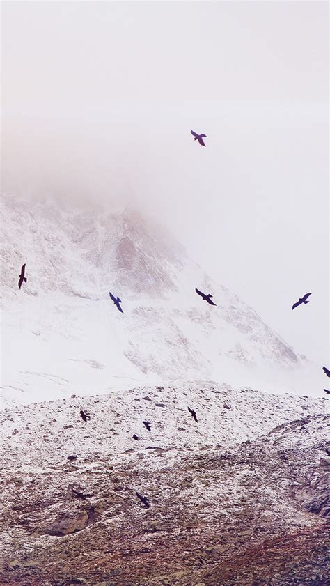 Nature Winter Snowy Mountains Flying Birds Iphone Wallpapers Free Download