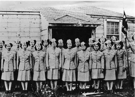 Japanese American Veterans Association Nisei Legacy