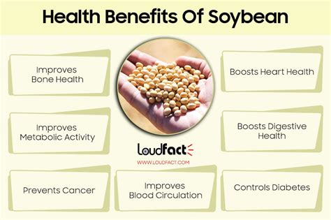 Unknown Soybean Facts And Amazing Health Benefits Loudfact