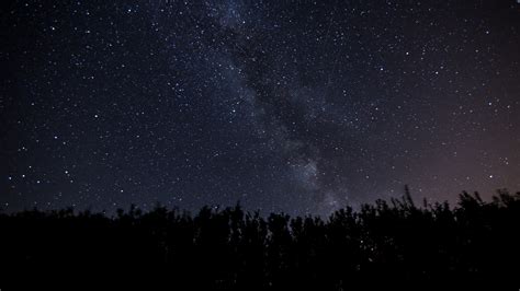 Starry Sky Milky Way Night Trees Dark Shine 4k Starry Sky Night