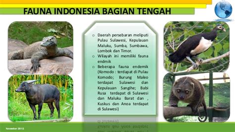 Apa saja sih flora dan fauna di kalimantan timur yang sudah langka dan terancam punah? Persebaran flora dan fauna di indonesia nia amelia 1001850