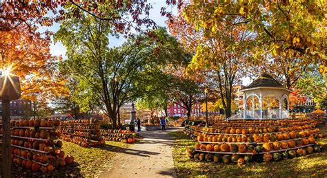 Featured Photographer Jeffrey Newcomer Keene Pumpkin Festival In