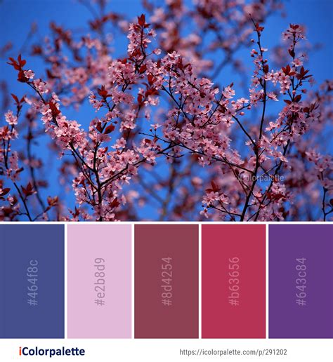 Color Palette Ideas From 1804 Blossom Images Icolorpalette Color