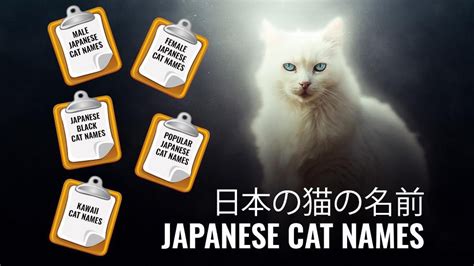 Don't try to think of a masculine name yourself. Japanese Cat Names - 130+ Top-drawer Male And Female Names ...