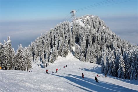 Winter In Romanian Mountain Stock Image Image Of Path White 14030813