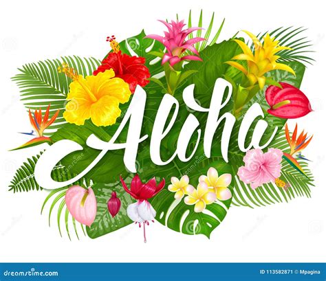 Letras De Aloha Hawaii Y Plantas Tropicales Ilustración del Vector Ilustración de mano verano