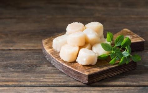 Can You Freeze Scallops Easy Guide To Freeze Scallops Eat Delights