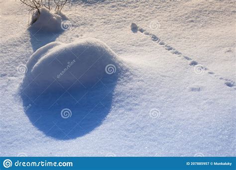 Surface Of Pure White Snow With Bumps Winter Image Stock Image Image