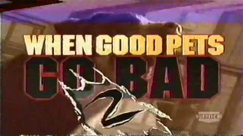 When Good Pets Go Bad 2 1999 Spike Version Youtube