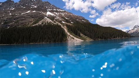 Peyto Lake 가장 아름다운 캐나다의 호수 Swimming Full Version Jun152019 Banff