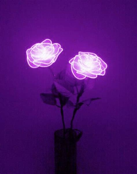 Often mistaken for violet, it is in fact, a secondary color achieved after combining red and blue. 🌹{Flower Light Aesthetic}🥀 | Dark purple aesthetic, Violet ...
