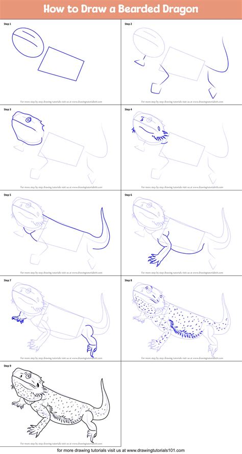 How To Draw A Bearded Dragon Printable Step By Step Drawing Sheet