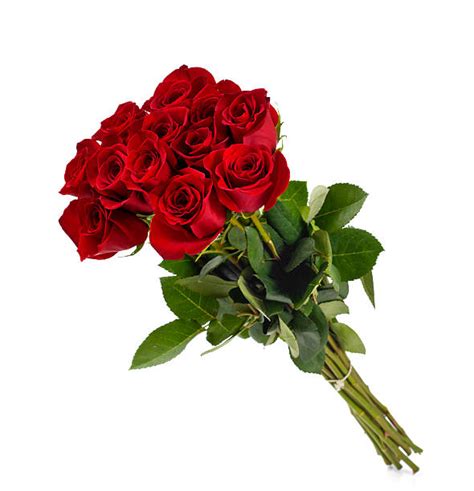 54800 Bunch Of Red Roses Stock Photos Pictures And Royalty Free Images