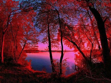 In The Red Beautiful Scenery Pinterest