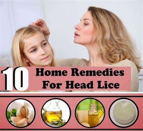 10 Effective Home Remedies For Treating Head Lice With Images Home