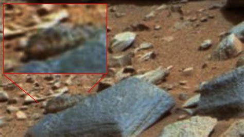 Discovery Of A Giant Worm Living Dune On Mars Nasa Curiosity