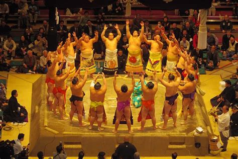 Sumo Wrestling Tournament Experience In Tokyo 2024 Viator