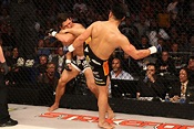 Cung Le vs Frank Shamrock (2008) | Sherdog Forums | UFC, MMA & Boxing ...