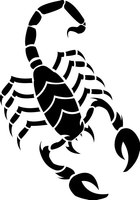 Scorpion Tattoo Silhouette PNG Transparent Image Download Size X Px