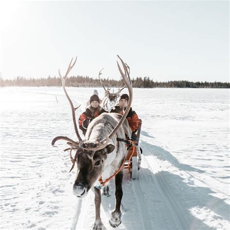 Things To Do In Lapland Activities Experinces And Safaris