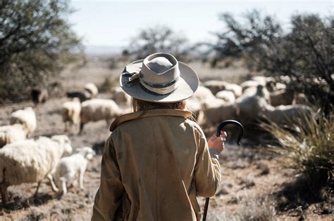Armed With New Research Ranchers Rethink Depredation