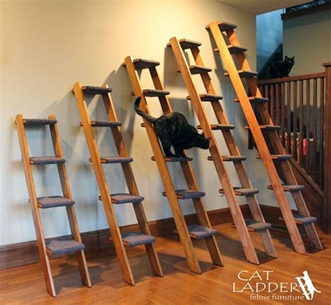 Enter To Win A Cat Ladder Winners Choice Cat Stairs