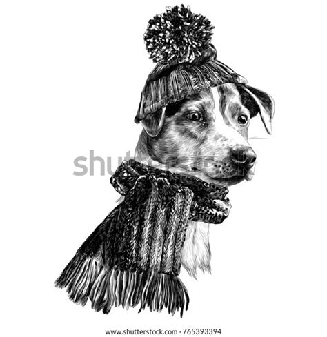Dog Hat Scarf Jack Russell Terrier Stock Vector Royalty Free