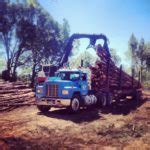 Loggers Broad Form Insurance Explained