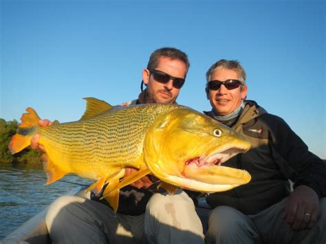 Fishing In Ibera Wetlands Boat Excursions Argentina